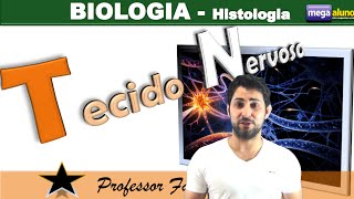 Tecido nervoso parte 1 de 2  Com material na descrição citologia vestibular2024 histologia [upl. by Rolo]