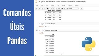 Aprenda comandos úteis no Pandas Python para machine learning  Aula 13 [upl. by Dwyer]