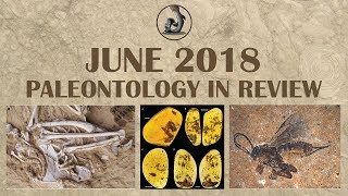 June 2018 Paleontology in Review [upl. by Sredna423]