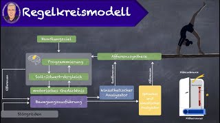 Regelkreismodell [upl. by Nichola]