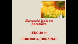 Kako imenujemo članove porodice u slovenskom jeziku Slovenski jezik za pocetnike  11lekcija [upl. by Ynnoj]