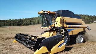 New Holland CSX 7060  Out Harvesting  Trøsking  Part 2 [upl. by Ethbun254]