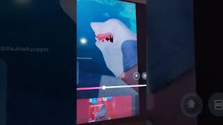 SHARK PUPPET VS ALLIGATOR CHEESE foryou foryoupage sharkpuppet [upl. by Ultima]