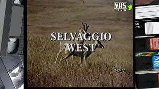 SELVAGGIO WEST [upl. by Adrell253]