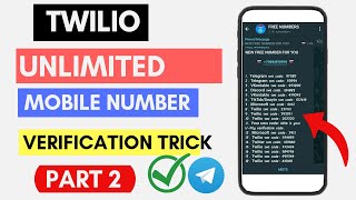 Twilio Account Verification Problem Solve [upl. by Sells]