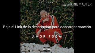 Bad bunnyamorfoda para descargar MP3 [upl. by Chariot]