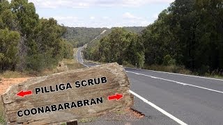 Yowie  Bigfoot Sighting Audio Report 06 on The Newell Hwy Pilliga Scrub Coonabarabran NSW [upl. by Majka64]