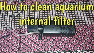 How to clean aquarium filter [upl. by Avin848]