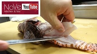 VENOMOUS Lionfish Sashimi  How To Make Sushi Series [upl. by Audi176]