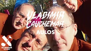 Vladimir Cauchemar  Aulos Official Music Video [upl. by Fabrienne]