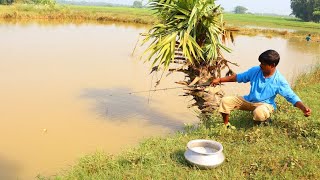 Fishing Video  The fun of fishing with a hook in flood water is different  Fish hunting video [upl. by Grissel]