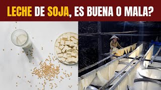 LECHE DE SOJA por qué es nutritiva [upl. by Allenaj283]