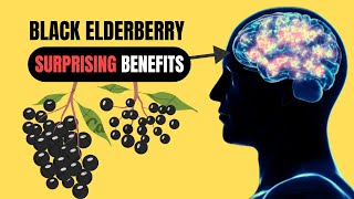 13 Surprising Black Elderberry Syrup Benefits [upl. by Aenotna]