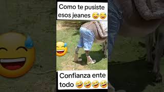 Primero la confianza‼️‼️ ante todo confianza‼️‼️ humor shorts [upl. by Yriek453]