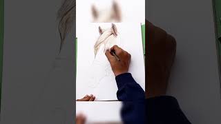 Horse Face Drawing 🐎  shorts horsedrawing [upl. by Katonah]