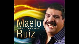 te va a doler  maelo ruiz [upl. by Okire539]