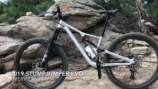 2019 Stumpjumper EVO Overview [upl. by Nitsreik135]