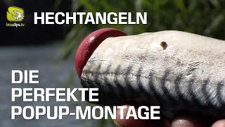 Hechtangeln über Grund mit Köderfisch an der PopupMontage [upl. by Ralaigh936]