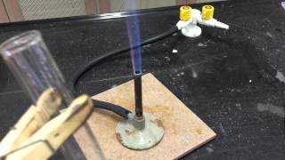 Cation Test Ammonium Ions [upl. by Jehias2]