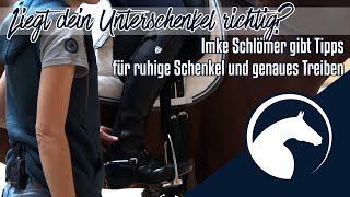 Unruhige Unterschenkel 🏇🏼 Besser Treiben 🎥Preview  ClipMyHorseTV Academy🎓 [upl. by Blossom834]