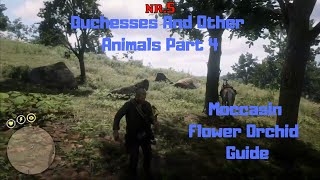 RDR2  Duchesses And Other Animals Part 4  Moccasin Flower Orchid Guide [upl. by Nim280]