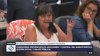 CIBERAPUESTAS Y LUDOPATÍA  Diputada Schlotthauer  Izquierda Socialista FITU [upl. by Ahsyas]