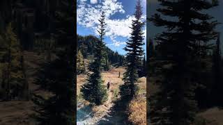 Scampering out of the Pasayten Wilderness pacificcresttrail wilderness fallcolors [upl. by Denise]