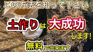 サツマイモ残渣はこうして処理すれば来年は大量収穫間違いなし！土作りの秘訣！ [upl. by Adkins693]