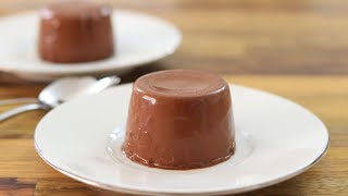 Chocolate Panna Cotta Recipe [upl. by Ilagam]