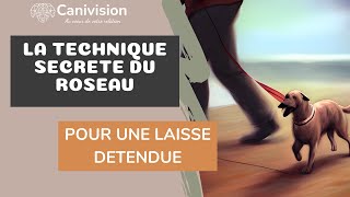 Ton chien tire en laisse La technique secrète du roseau [upl. by Harvey4]