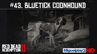 Localización Bluetick Coonhound  43 Compendio Animales  Red dead redemption 2 [upl. by Mateo]