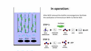 Fixed bed biofilm reactor FBBR  operating principle and advantages [upl. by Immac731]