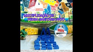 💥PEDRA SANITÁRIA MULTIPLICADA💥 PATO💥 FAÇA E VENDA 😍 [upl. by Bryanty]