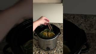 Slow Cooker Fall Simmer Pot Recipe  Blains Farm amp Fleet [upl. by Eiliak678]