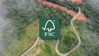 FSC and Packaging Advancing Sustainable Packaging Solutions [upl. by Solenne]