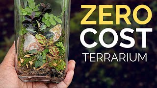 Zero Cost Terrarium How to make a terrarium from your backyard [upl. by Rahel169]