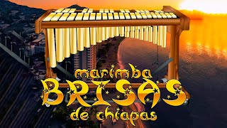 Marimba De Chiapas Mix  marimba chiapas para bailar 2023 [upl. by Winslow]