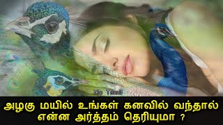 அழகு மயில் உங்கள் கனவில் வந்தால் என்ன அர்த்தம் தெரியுமா   Peacocok in your dream  Zio Tamil [upl. by Mundford]