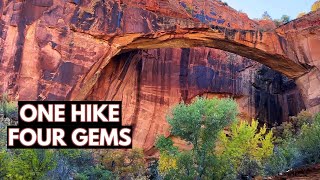 Natural Bridge Trail  Grand StaircaseEscalante National Monument  Utah [upl. by Ayoral]