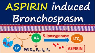 Aspirin induced bronchospasm  How it can increase asthma [upl. by Holna]