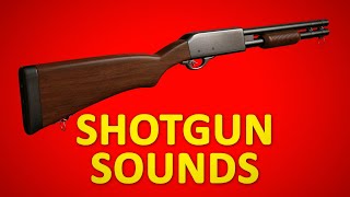 SHOTGUN Sounds For One Hour [upl. by Rus]