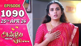 Anbe Vaa Serial  Episode 1090  25th April 24  Virat  Shree Gopika  Saregama TV Shows Tamil [upl. by Knick]