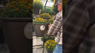 STAGGERING amp STAGING PLANT CONTAINERS  DIY Landscaping PRO TIP [upl. by Saturday]