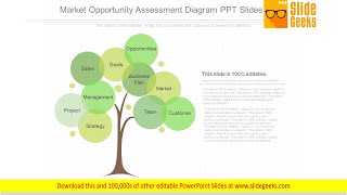 Market Opportunity Assessment Diagram Ppt Slides Show [upl. by Damicke]