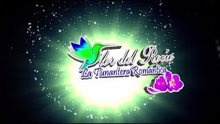 FLOR DEL ROCIO quotLa Tunantera Romanticaquot  NO DEBI AMARTE Éxito 2017 [upl. by Trik]