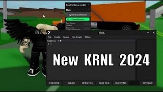 KRNL FIX 💎 NO KEY KRNL 💎 UPDATED FIX [upl. by Yand]