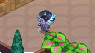 Star Coral Cookie Animation Preview  Cookie Run Kingdom [upl. by Orsay452]