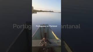 Dia de Pescaria no Pantanal [upl. by Otreblig]