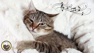 Calming Sleep Music for Cats with cat purring sounds  Deep Relaxation amp Anxiety Relief [upl. by Sordnaxela]