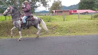 Cabalgando en Tierras Altas Cerro Punta [upl. by Richlad591]